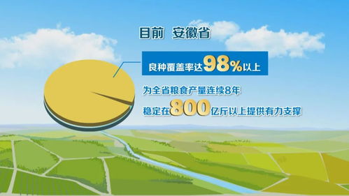 種業全鏈條創新，科技服務護航“江淮糧倉”建設