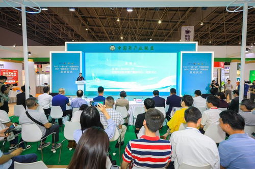 聯合國糧農組織“一國一品”中國茶項目暨2024國際茶日中國活動正式啟動，技術推廣服務助力茶產業高質量發展