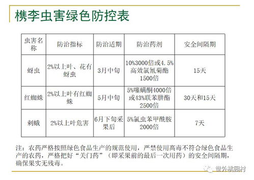 桐鄉槜李香滿園 農技專家張杰深入桃園村開展品質提升與技術推廣培訓